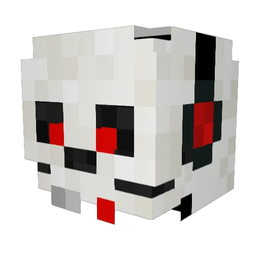 SkullyWasTaken Minecraft avatar head, 3D render