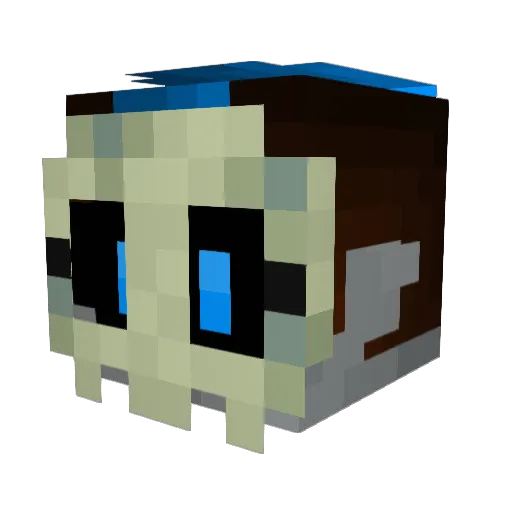 Skully_Bonez13 Minecraft avatar head, 3D render