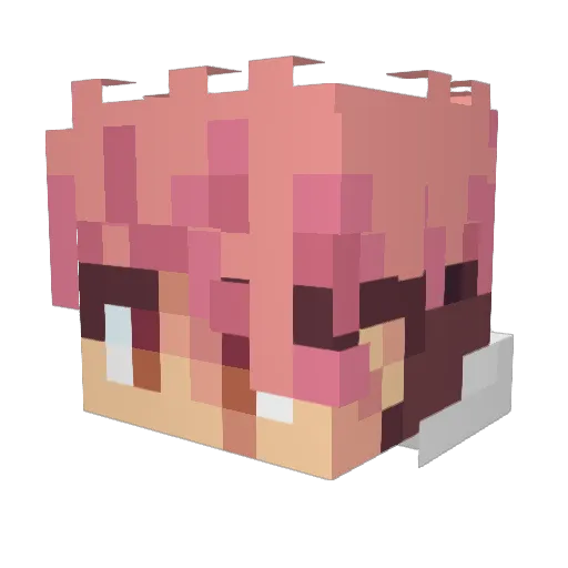 Skully_somone Minecraft avatar head, 3D render