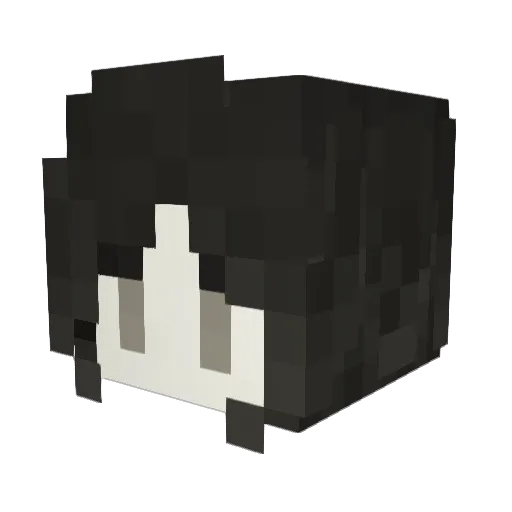 Skunk0 Minecraft avatar head, 3D render