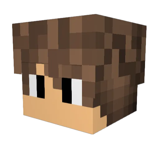 SkunkBison Minecraft avatar head, 3D render