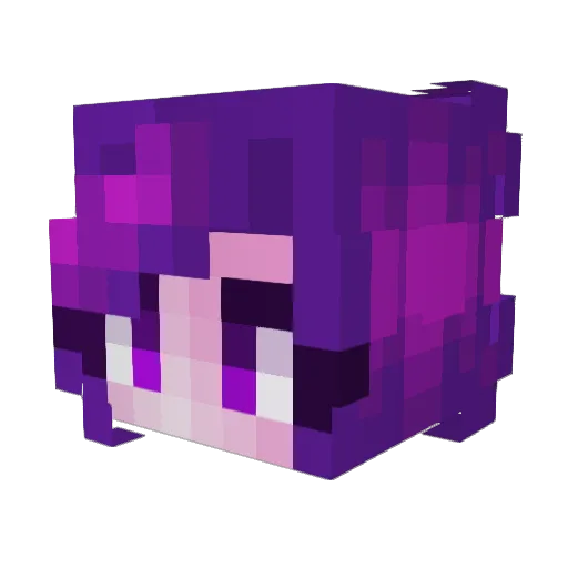 SkunkyKitten Minecraft avatar head, 3D render