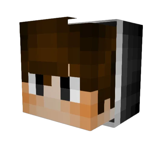 Skunkylight Minecraft avatar head, 3D render