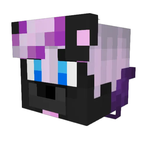 Skunkyy Minecraft avatar head, 3D render