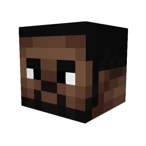 Skunz Minecraft avatar head, 3D render