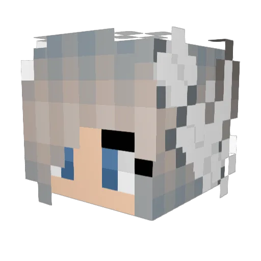 Skurry_Ducky Minecraft avatar head, 3D render