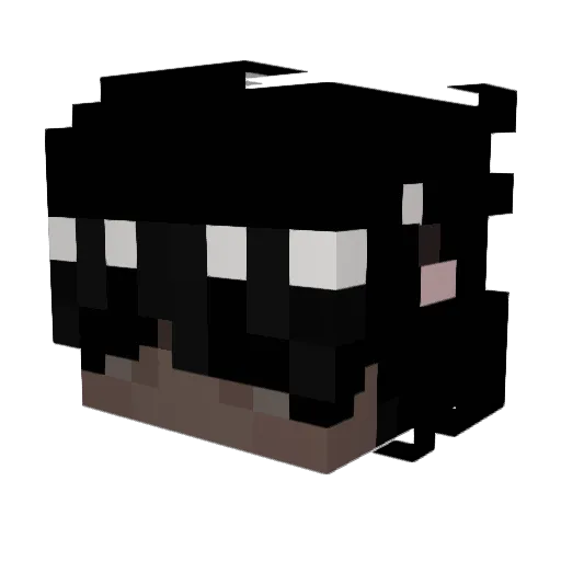Skuter0 Minecraft avatar head, 3D render