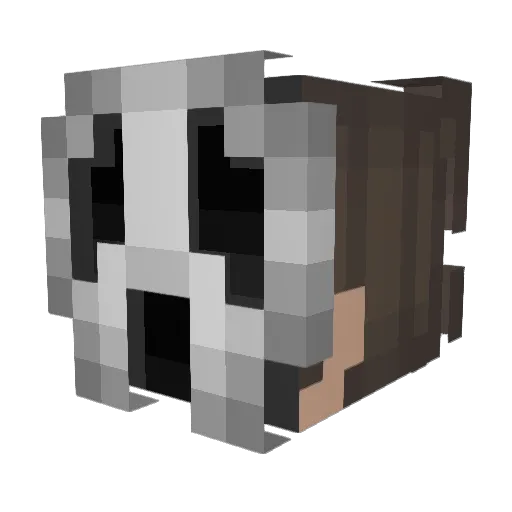 Skuz_ Minecraft avatar head, 3D render