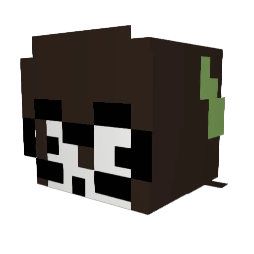 SkuzyEXE Minecraft avatar head, 3D render