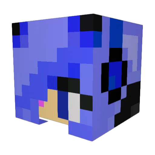 Skv666Witch Minecraft avatar head, 3D render
