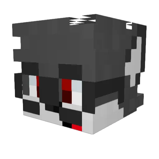 Skveit_ Minecraft avatar head, 3D render