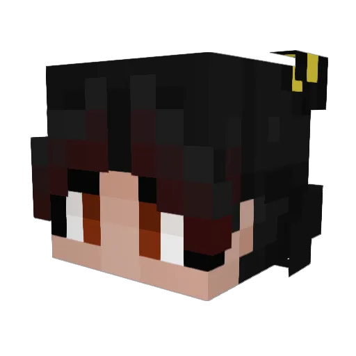 Skwishywishy Minecraft avatar head, 3D render