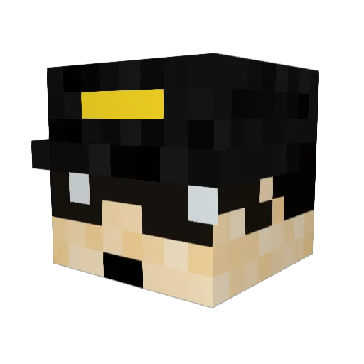 Skwo0170 Minecraft avatar head, 3D render