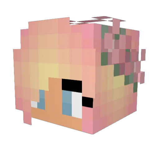 Sky1022 Minecraft avatar head, 3D render