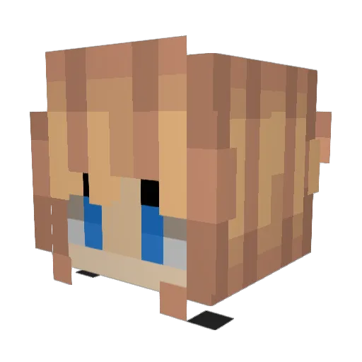 Sky3Rcz207 Minecraft avatar head, 3D render