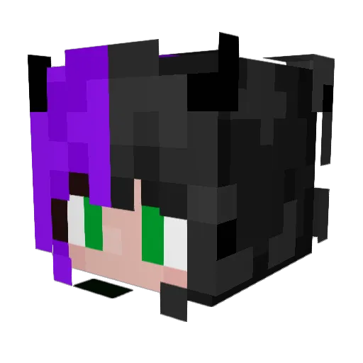 Sky3sth3l1m1t Minecraft avatar head, 3D render