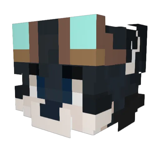 Sky404 Minecraft avatar head, 3D render