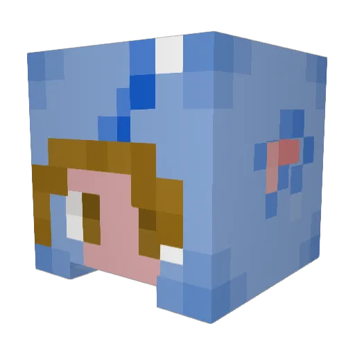 Sky96walker Minecraft avatar head, 3D render