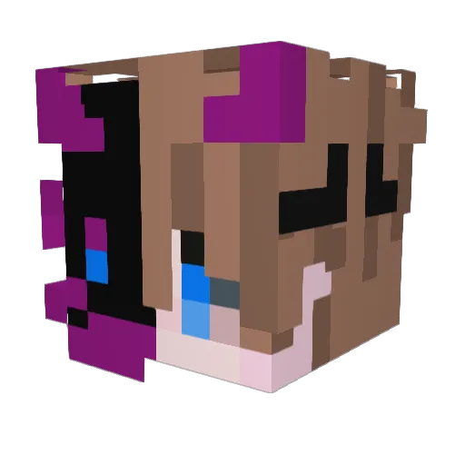 Sky987derpro Minecraft avatar head, 3D render