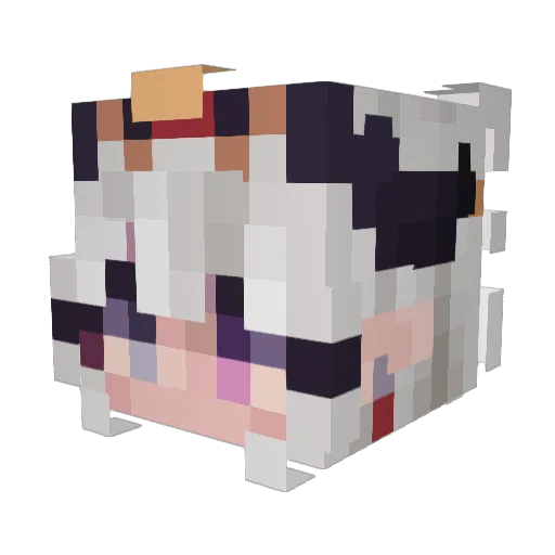 SkyAlrunes Minecraft avatar head, 3D render