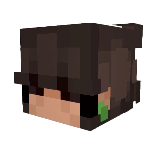 SkyB0i Minecraft avatar head, 3D render