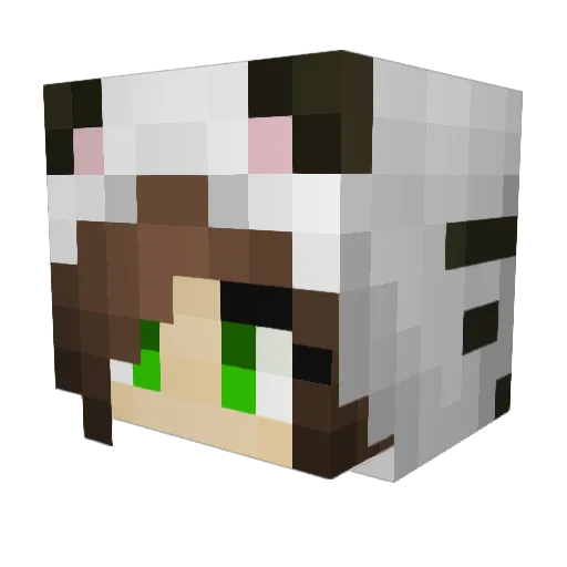 SkyBono64 Minecraft avatar head, 3D render