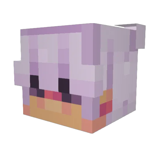 SkyBoundLeo Minecraft avatar head, 3D render