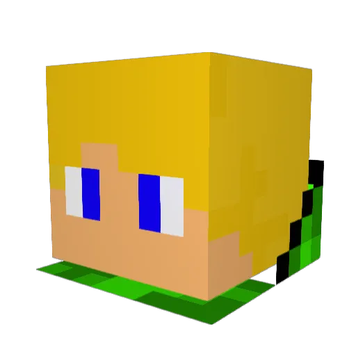 SkyBoy9609 Minecraft avatar head, 3D render