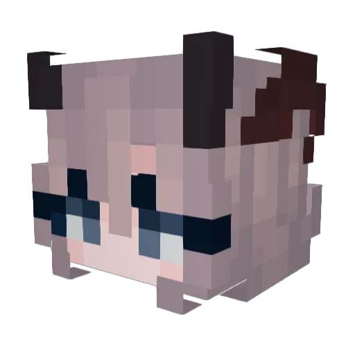 SkyBun Minecraft avatar head, 3D render