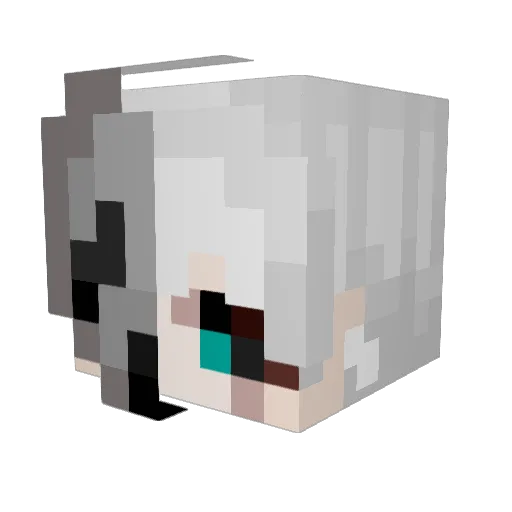 SkyCaelo Minecraft avatar head, 3D render