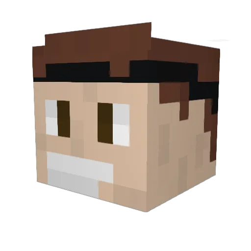 SkyChicken2508 Minecraft avatar head, 3D render