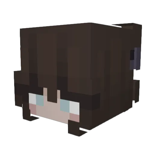 SkyConure Minecraft avatar head, 3D render