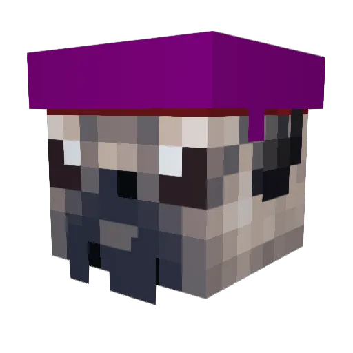 SkyDivingPug Minecraft avatar head, 3D render