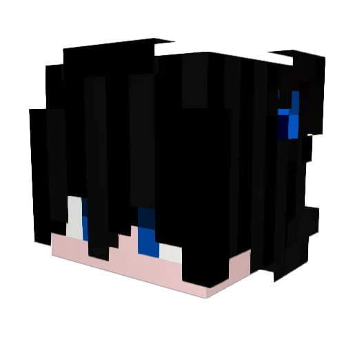 SkyDqnm Minecraft avatar head, 3D render