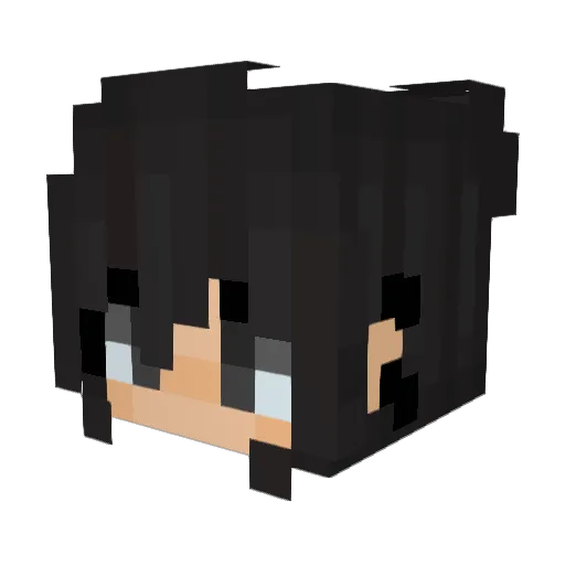 SkyDrone2301 Minecraft avatar head, 3D render