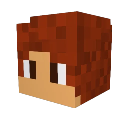 SkyDrox59 Minecraft avatar head, 3D render