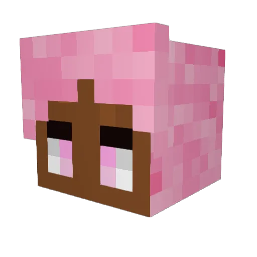 SkyFalsetto Minecraft avatar head, 3D render
