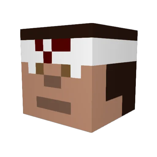 SkyFederer Minecraft avatar head, 3D render