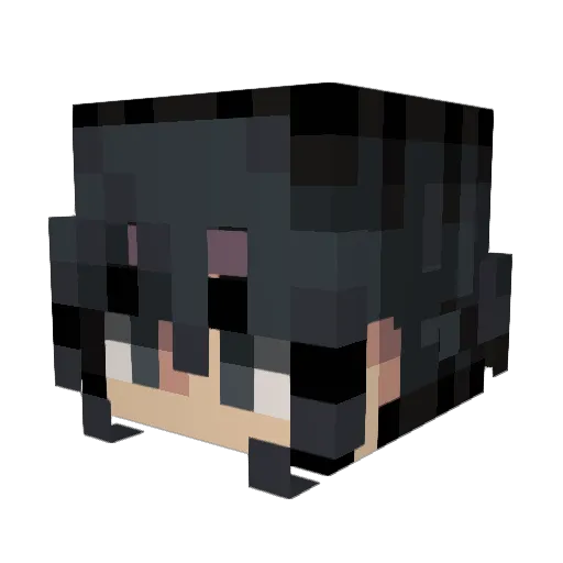SkyFork999999 Minecraft avatar head, 3D render