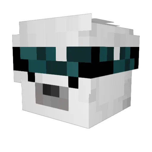 SkyFroZzeR Minecraft avatar head, 3D render