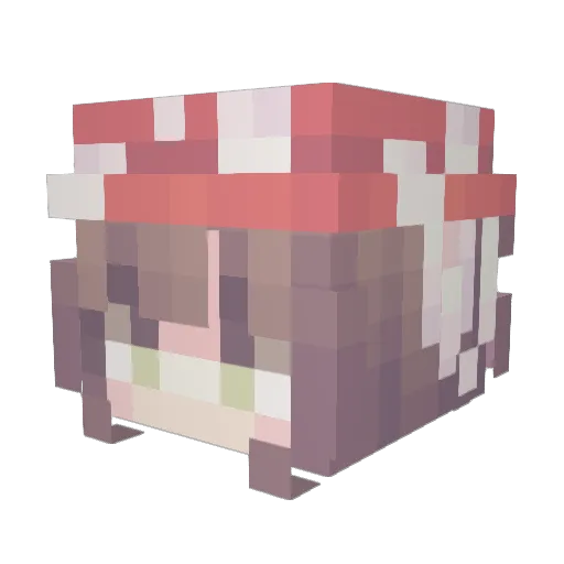 SkyFudgey Minecraft avatar head, 3D render
