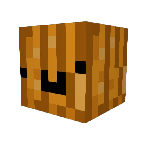 SkyGameMC Minecraft avatar head, 3D render