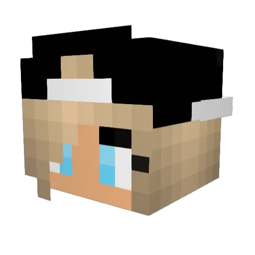 SkyGamer Minecraft avatar head, 3D render