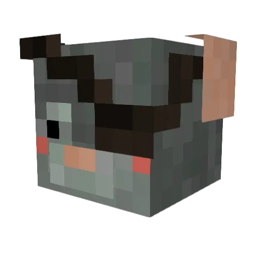 SkyGaminb Minecraft avatar head, 3D render