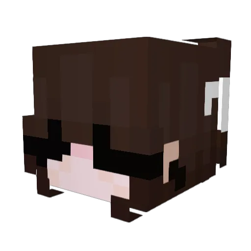 SkyGoon Minecraft avatar head, 3D render