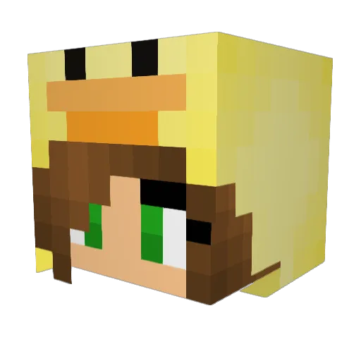 SkyGoose Minecraft avatar head, 3D render