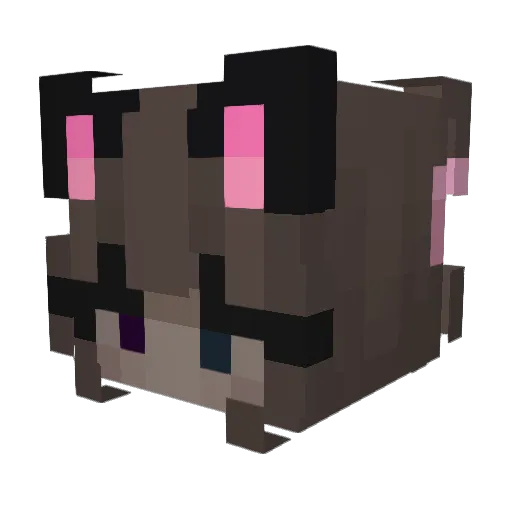 SkyGrow Minecraft avatar head, 3D render