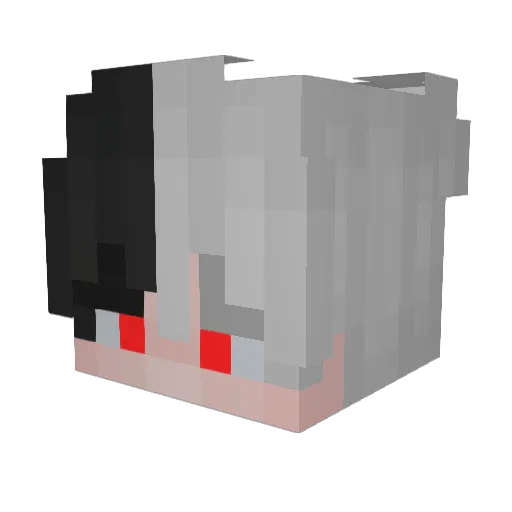 SkyHaveInsomnia Minecraft avatar head, 3D render