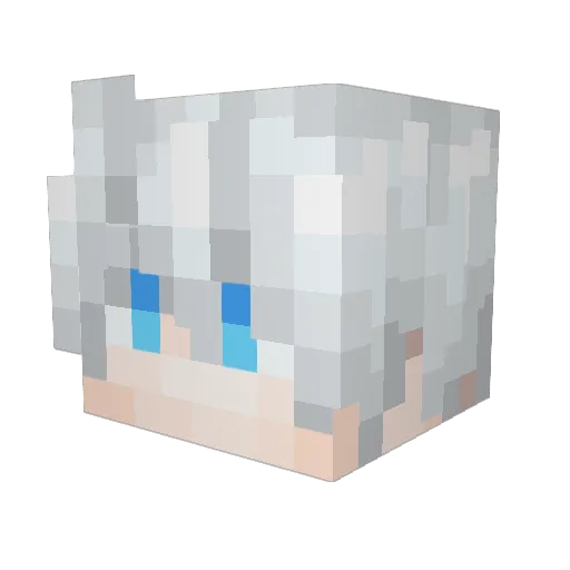 SkyHawk__ Minecraft avatar head, 3D render