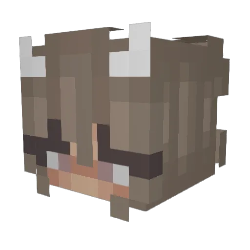 SkyHigh99 Minecraft avatar head, 3D render